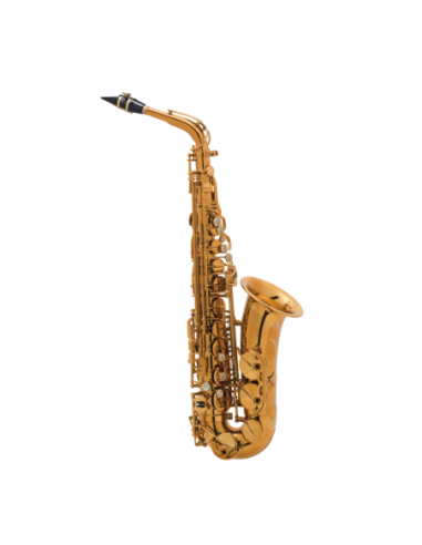 Saxo Alto Reference Goldmessing Grab.DGG