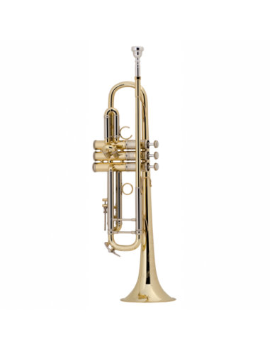 Trompeta Sib Bach Stradivarius AB190...