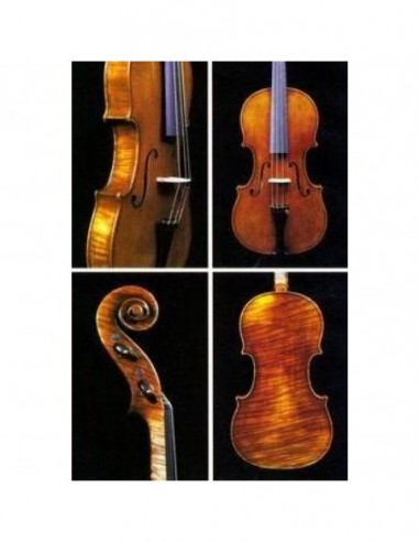 Viola Jay Haide Stradivari Antique 16