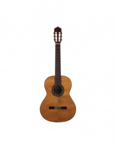 Guitarra Clásica Altamira N100+