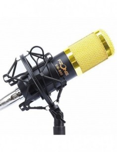 Kit MicrofonÃ­a F-Zone BM-800