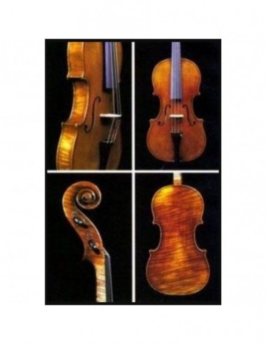 Violín Jay Haide Stradivari (No...